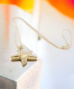 Colgante de estrella de mar de oro amarillo de 18k y cadena veneciana todo oro de 18k de 45cm.