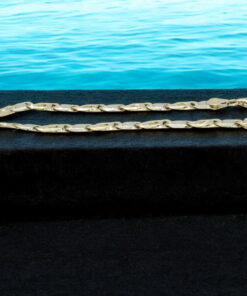 Pulsera de Oro 18k para Hombre 7 mm Maciza – Cadena Ojo de Tigre con Cierre Mosquetón - Imagen 5